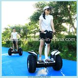 Two Wheels Self Balancing Scooter Manufacturer Supply Smart Electric Two Wheels Self Balancing Scooter