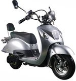 EEC Electric Scooter (RTM-EM1500TX)