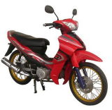 Motorcycle (GO 110-1)