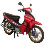 Motorcycle (GO 110-1)