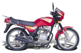 Motorcycle (QJ100-2B)