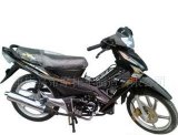 Cub Motorcycle (DIBO110-B) (JH125,JD125,DIBO125,GH125,FHL125)