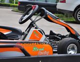 Honda Engine 200cc Racing Go Karts (GC2001)