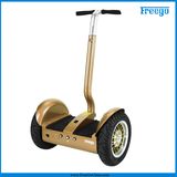 China Brand City-Road 2-Wheel Electric Scooter with CE /FCC/RoHS Approval for Adult