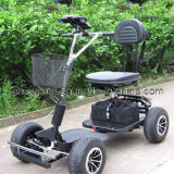 Four Wheel Scooter (EG413)