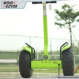 New Sport Use Mini Electric Scooter, Electrical Think Car Scooter off Road Chariot V4+