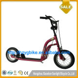 Wh115-12inch Kick Scooter Foot Scooter for Europe Market