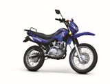 Motorcycle (BRG200GY-5)