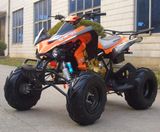 110cc-250cc KAWASAKI Style ATV with Engine (QY250ATV-19)