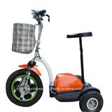 Mobility Scooter with Cheap Price