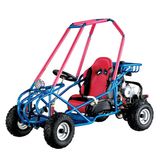 Kids Buggy / Kid Go Kart (TS-49FM3)