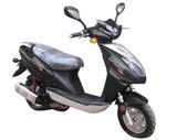 Scooter (ACE50QT-9)