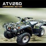 250cc ATV (oo-250ATV-C)