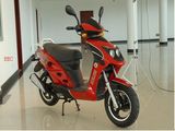 EEC Scooter (TY50QT-8D)