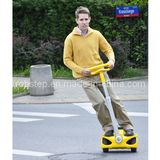 Mini Type Electric Scooters (CE Approval)