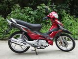 Asian Lion Pocket Bike (WJ110-VII)