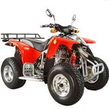 300cc Quad (BD300ST-1)