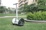 Modern Popular 24V Electric Chariot Scooter