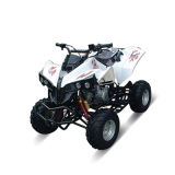 110cc/125cc ATV (ZC-ATV-16)