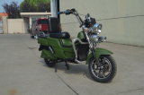 2000watt Powerful Electric Scooter for Man