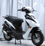 China 49cc EEC DOT Moped Scooter (HDM50E-2V)