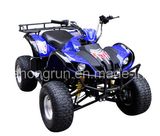 110CC ATV (T-110F)