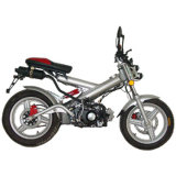 Dirt Bike (FI-50DL)