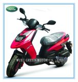 150cc/125cc/50cc New Scooter, Motor Scooter, Gas Scooter