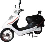 Electric Scooter (NC-64)