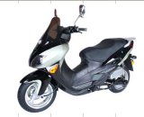 EEC & EPA E-Scooter (YY-C01)