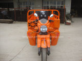 China Factory Supplier Smart Three Wheel Motorcycle