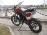 250cc Racing Dirt Bike/Motorcycle All Parts