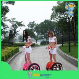 Hot Smart Mini CE Electric Mobility Scooter with Brushless