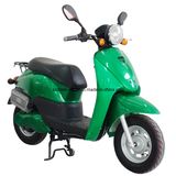 OEM 800W Electric Scooter (ZXTDM05M)