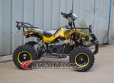 CE Approved 800W Electric Quads Bike (EA0508)
