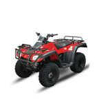 300cc 4WD ATV (ZC-ATV-11)