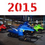 2-Seater 4 Stroke 150cc Snowmobile (DMSM200-01)