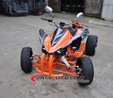 Cheap Price High Quality 250cc ATV (AT2001-B)