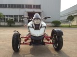 Three Wheels Single Cylinder 200cc ATV (LT 200MB2)