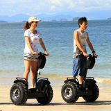 2 Wheel ATV Electric Vehicle Electric Scooter