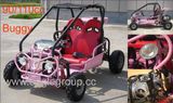 70/90/110cc Go Kart / Buggy (YG-90GKG-2)