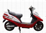 Electric Scooter DL013