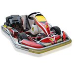 200cc 4-Stoke Hire Kart / Rental Kart for Recreation and Fun