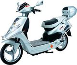 Electric Bike (Wuxing Princess)