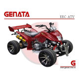 250cc EEC Racing ATV / Quad (GT250L-RE)