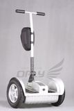 Electric Balance Scooter (ES5002)