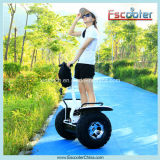 Powerful 2 Wheel Self Balancing Electric Scooter Made in China