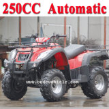 New 250cc ATV Automatic Street Legal ATV (MC-356)