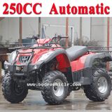 New 250cc ATV Automatic Street Legal ATV (MC-356)