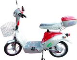 E-Bike (SEB-2010)